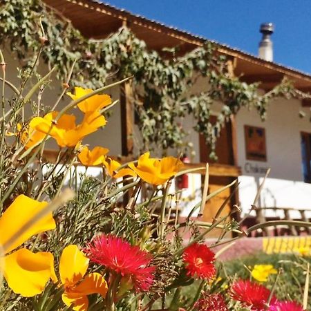 La Chakana Lodge Putre Kültér fotó