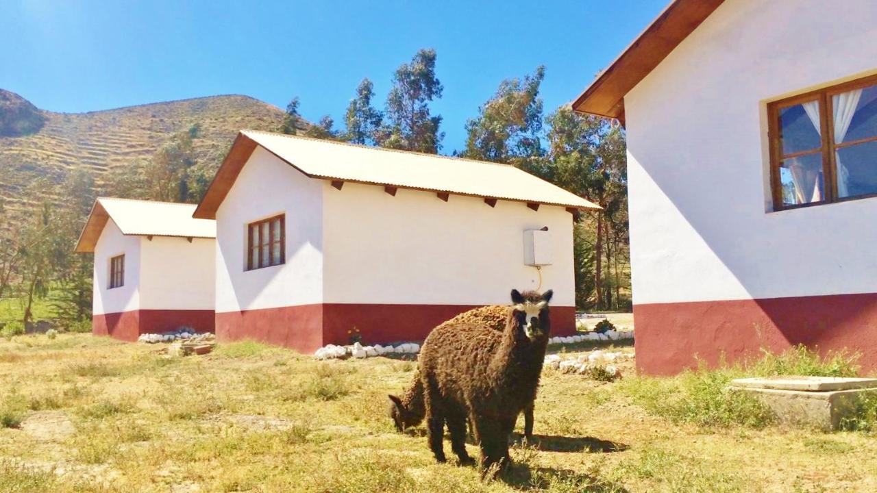 La Chakana Lodge Putre Kültér fotó
