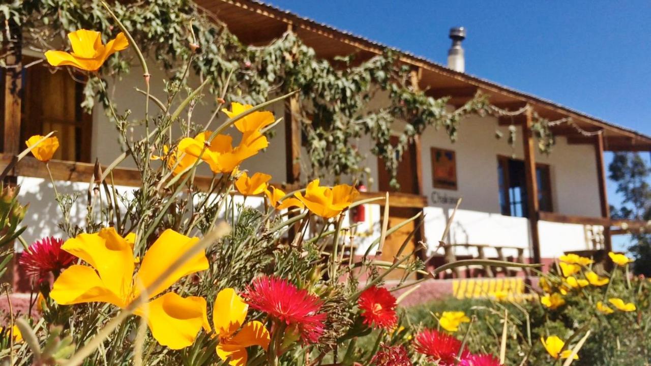 La Chakana Lodge Putre Kültér fotó